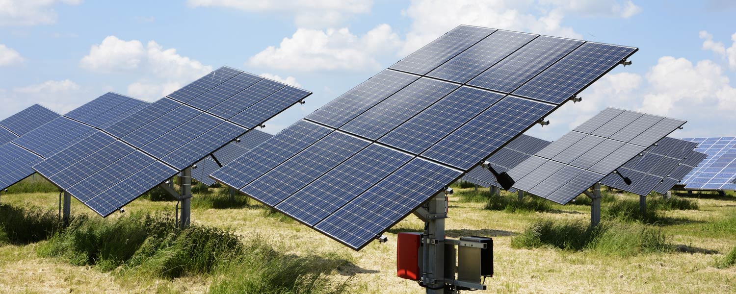 Cupidatat non accusam et justo