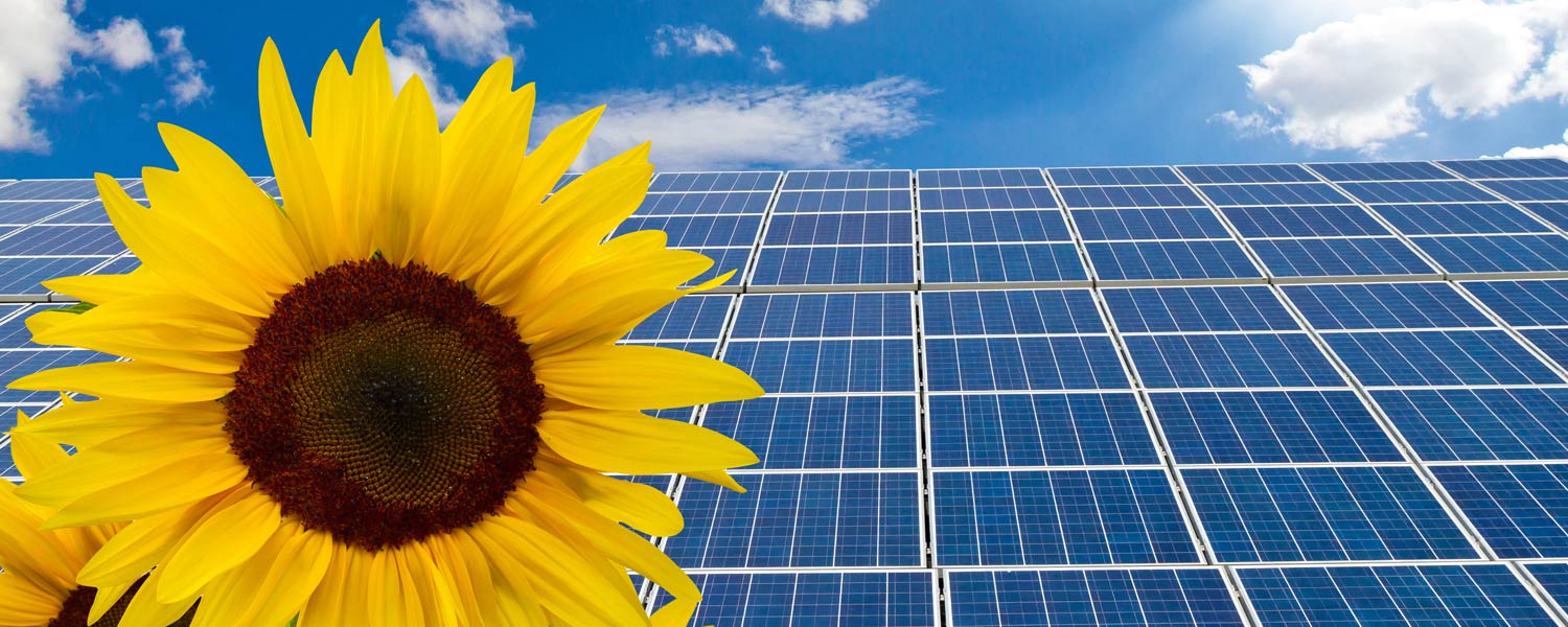 Aliquam erat volutpat